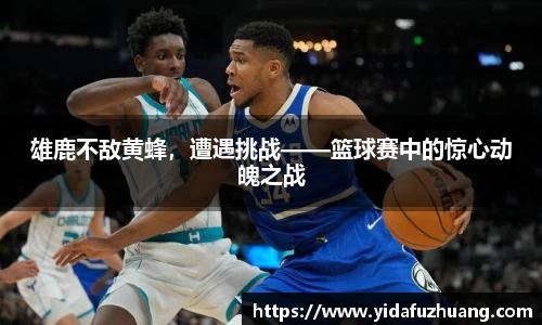 雄鹿不敌黄蜂，遭遇挑战——篮球赛中的惊心动魄之战